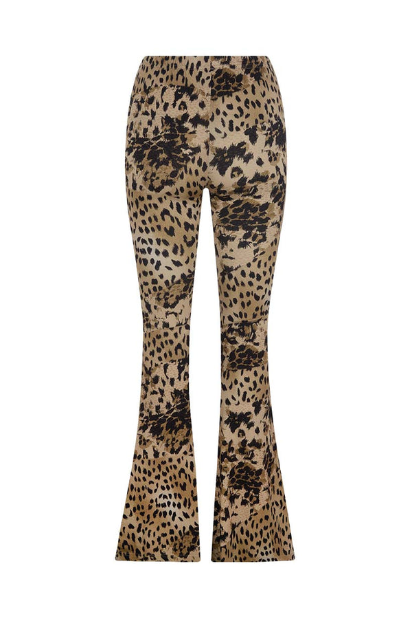 Snow Leopard Bells – SPELL - USA