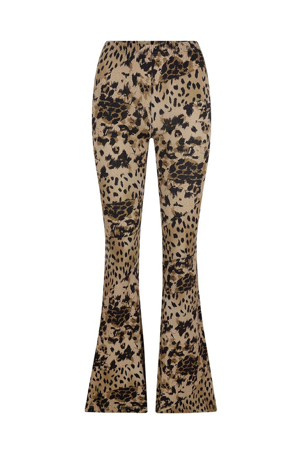 Snow Leopard Bells – SPELL - USA