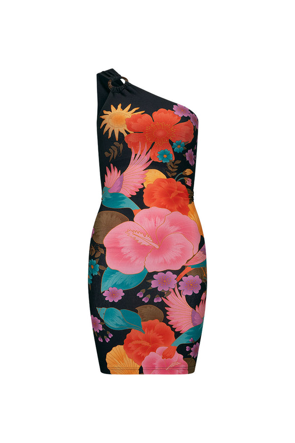 spell peaches mini dress Beach Bar Mini Dress In Multicolor